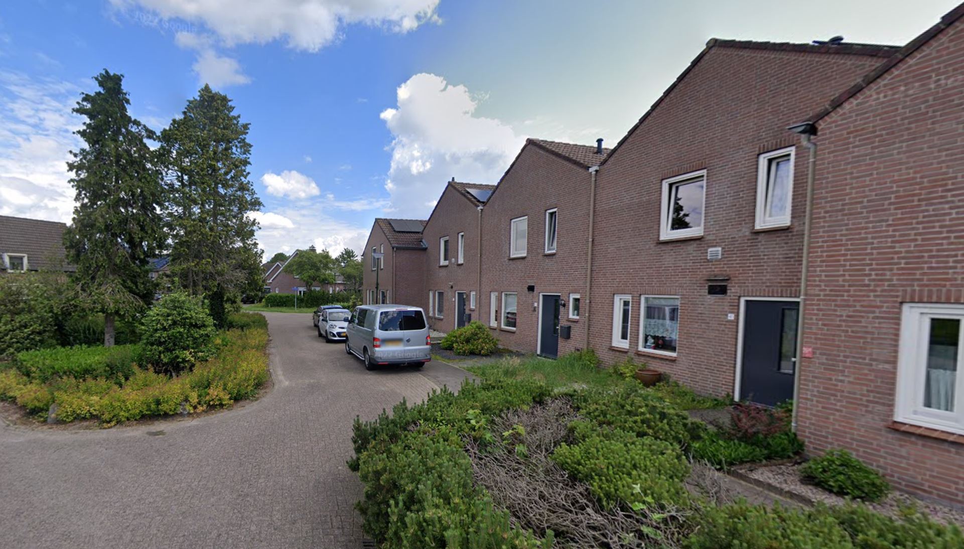 Koekoeksbloem 37